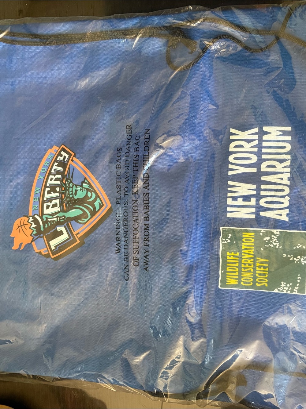 Liberty Blue and Teal Graphic Drawstring Bag
